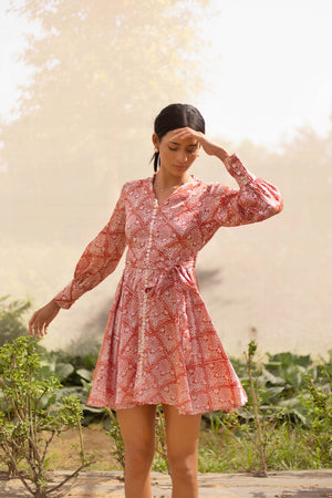 Rust Fit & Flare Dress  Dress